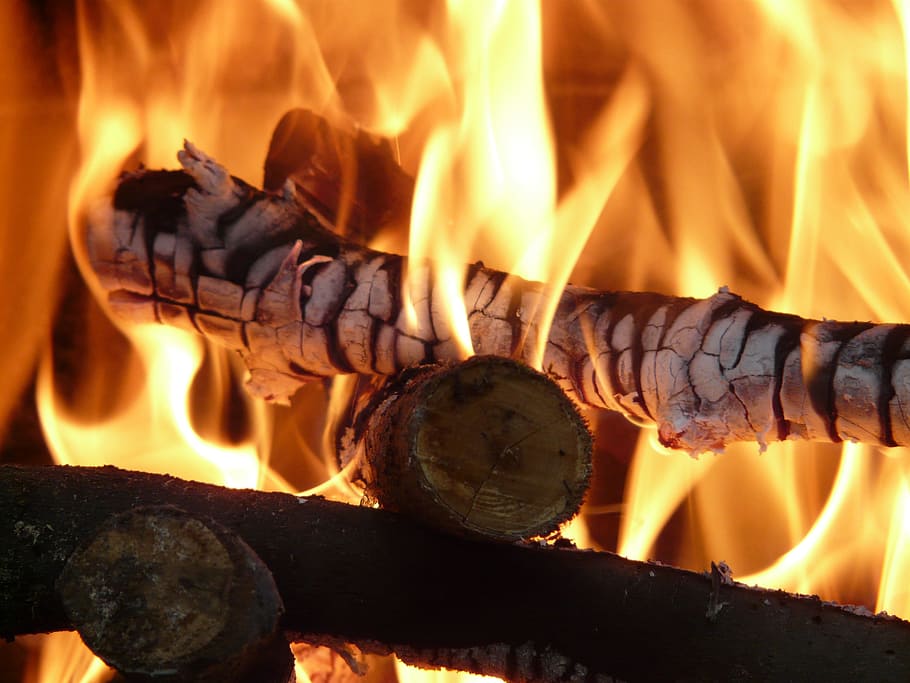 Glow, Branch, Fire, Heat, Flame, Embers, burn, oven, hell, hot HD wallpaper