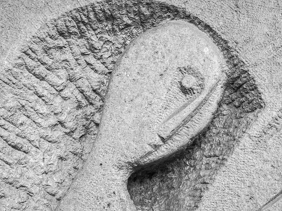 face, stone, sculpture, head, figure, art, wall, angel, black And White HD wallpaper