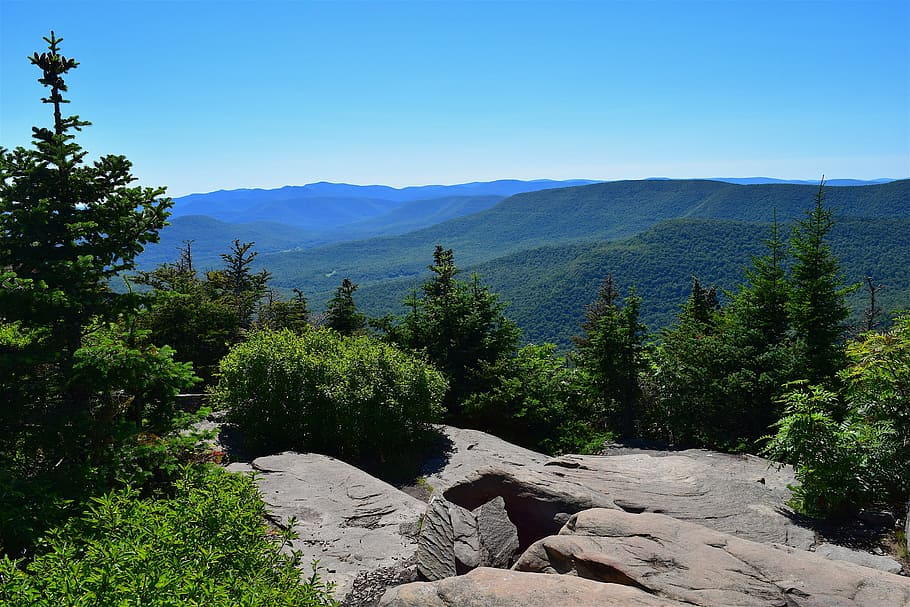 mountains, summit, granite, rock, trees, pine, nature, landscape HD wallpaper