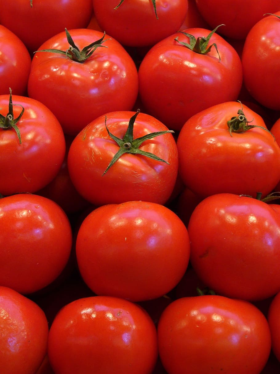 red tomatoes, vegetables, cook, market, healthy, food, food and drink HD wallpaper