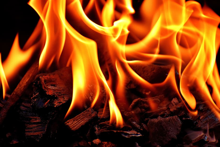 close up view of fire pit, flame, carbon, burn, hot, mood, campfire HD wallpaper