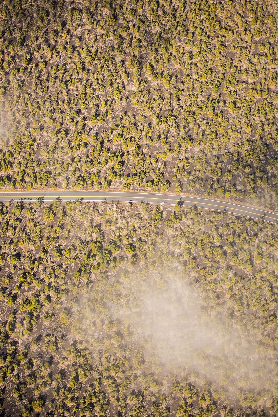 Helicopter Ride with Chloe, untitled, trees, hilo, road, yellow line HD wallpaper