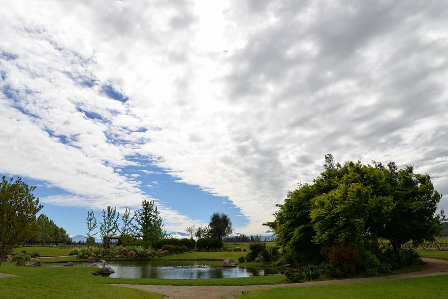 sky, clouds, landscape, field, sun, space, vineyard, chile HD wallpaper