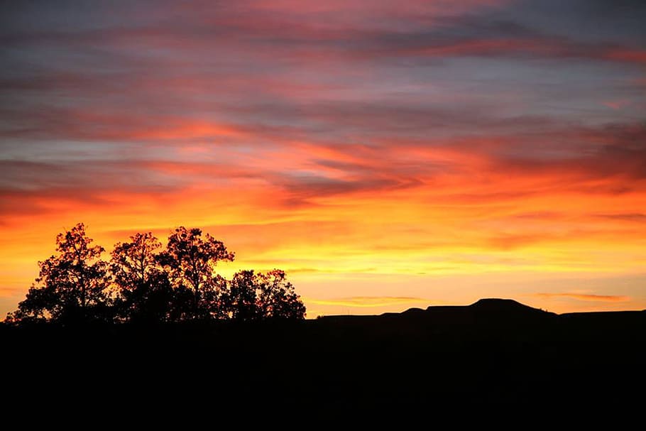 Nature, Sunset, Clouds, silhouette, tree, dramatic sky, orange color HD wallpaper