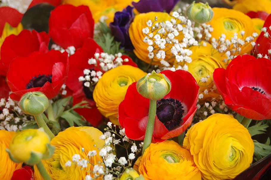 color, flower, floral, bouquet de fleurs, flowering plant, freshness, HD wallpaper