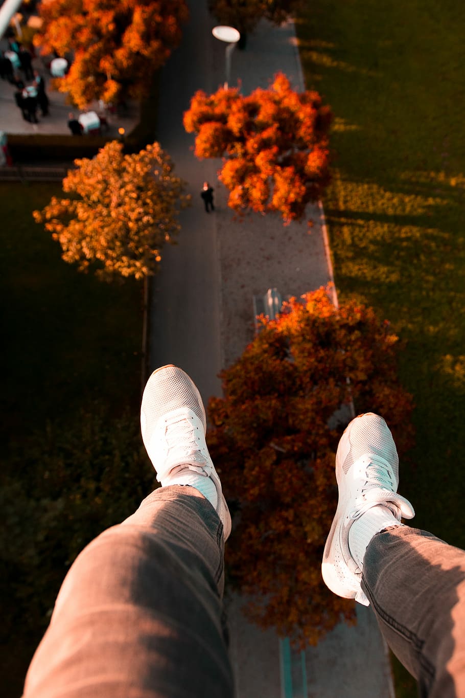 man wearing gray denim pants and white shoes over tree and green grass field, person wearing pair of white low-top sneakers HD wallpaper