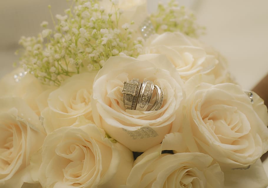 wedding, rings, flowers, plant, flowering plant, beauty in nature HD wallpaper