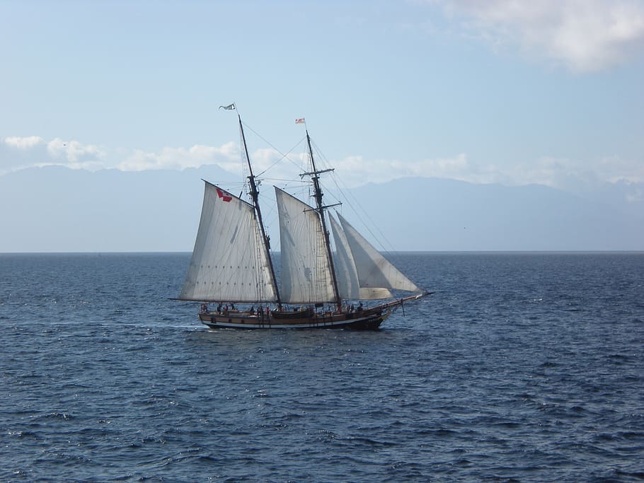 schooner, sailing, sea, nautical vessel, transportation, mode of transportation HD wallpaper