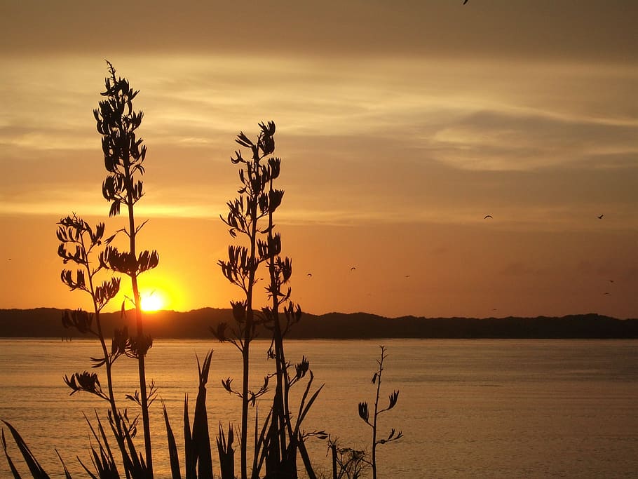 sunset, dawn, water, dusk, evening, sky, beauty in nature, scenics - nature HD wallpaper