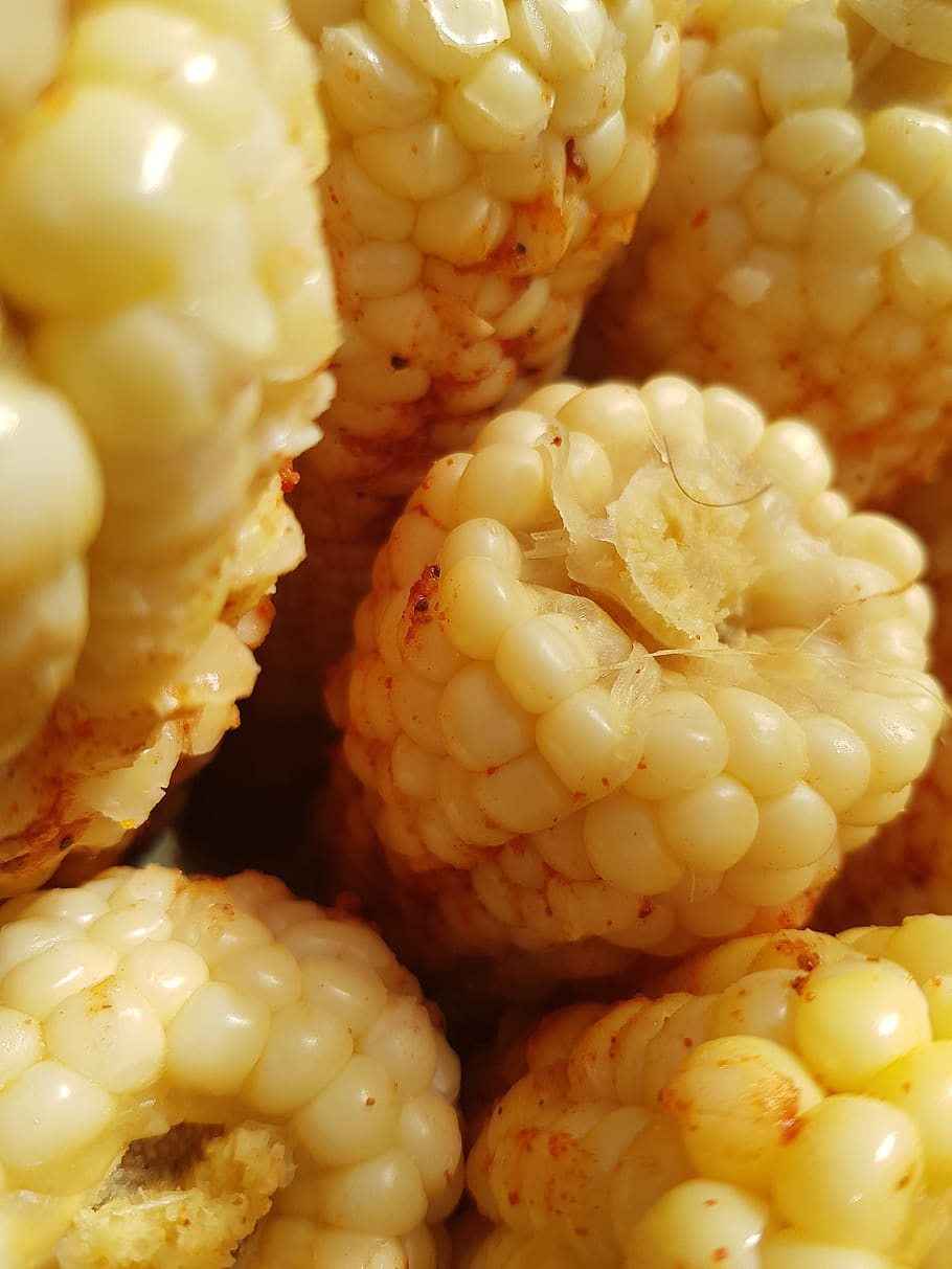 corn, agriculture, steamed corn, food and drink, healthy eating HD wallpaper