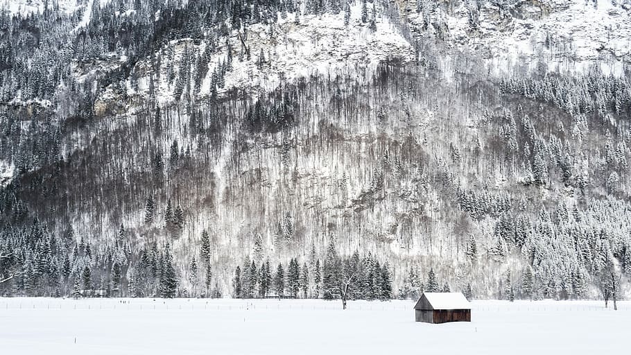 white house on snow field, brown wooden houses covered with snow surrounded by field covered in snow near mountain with trees during winter HD wallpaper