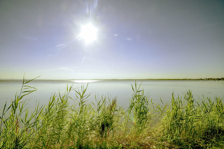 lake, sunset, reeds, water, sky, beauty in nature, scenics - nature HD wallpaper