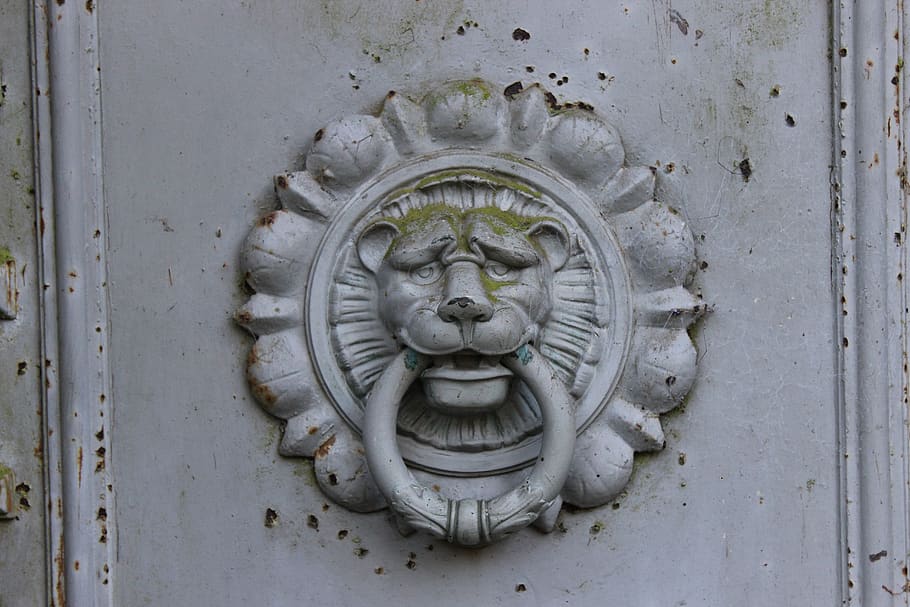 goal, lion, input, fitting, metal, doorknocker, art and craft HD wallpaper