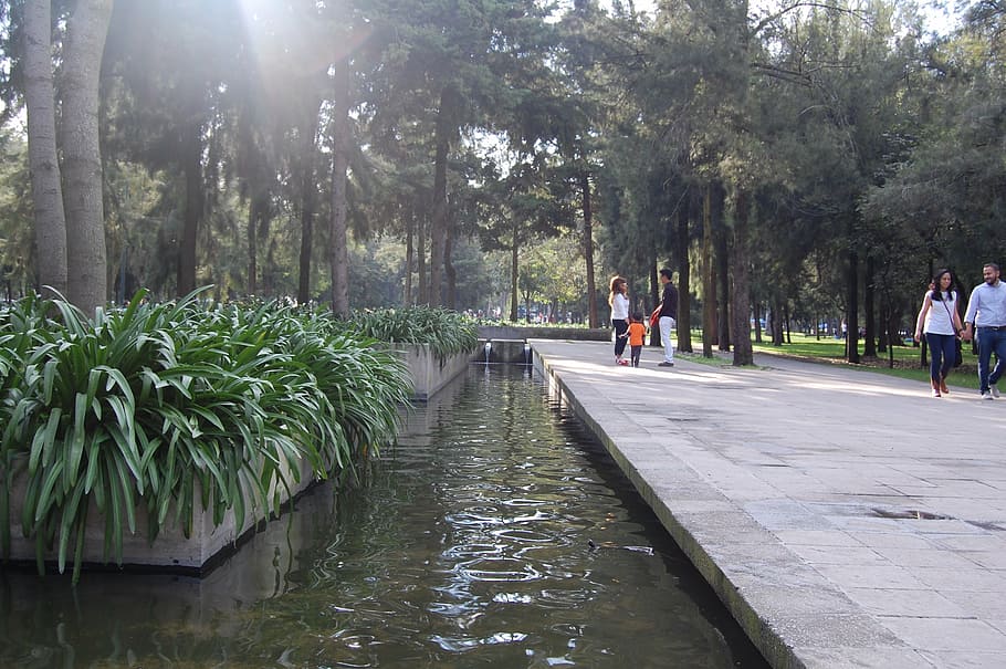 water, source, afternoon, gardens, plant, tree, nature, incidental people HD wallpaper
