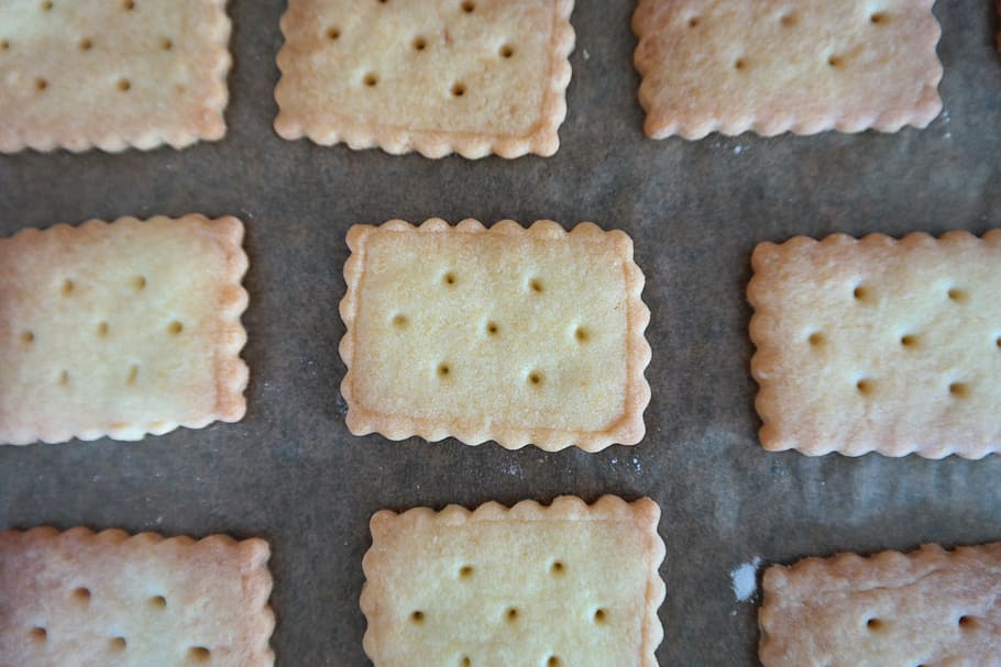 springerle, cookie, aniseed biscuits, springerli, holiday pastries HD wallpaper