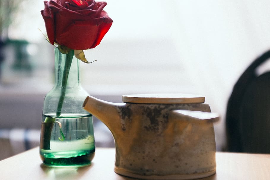 Tiny teapot and rose, food and Drink, objects, table, indoors HD wallpaper