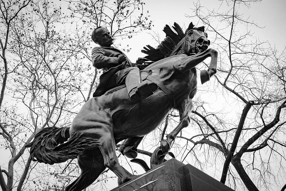 human, cavalry, adult, sitting, tree, two, war, clothing, mammal HD wallpaper