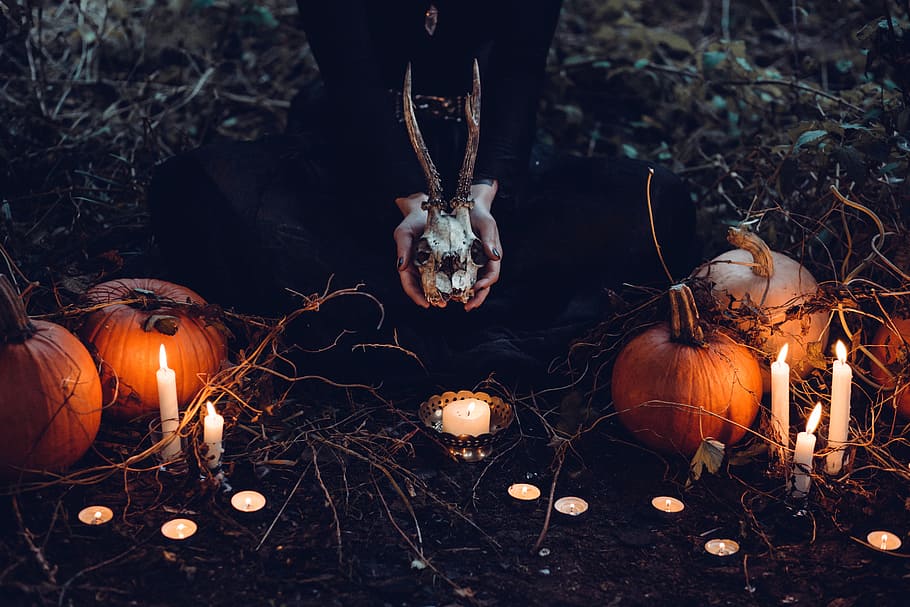 person holding cattle skull surrounded by squash and candles, person sitting on field while holding animal skull HD wallpaper