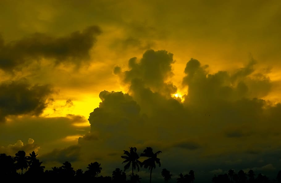the sky, twilight, closed, cloud, beauty in nature, tree, sunset HD wallpaper