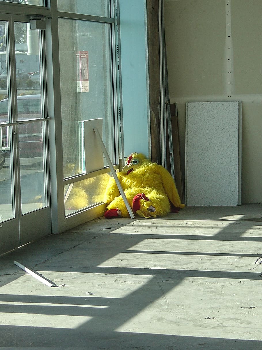 Chicken, Costume, Building, Store, Empty, depressed, despair HD wallpaper