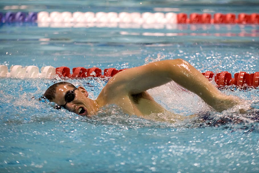 man swimming on pool, swimmer, training, lane, competition HD wallpaper