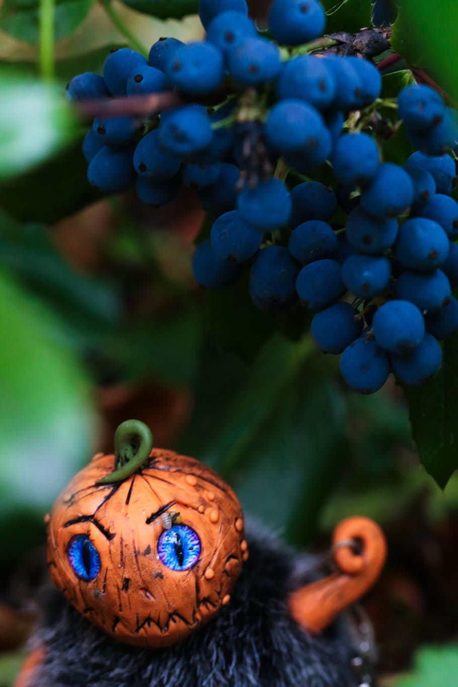 figure, halloween, berry, pumkin, autumn, fall, food, focus on foreground, HD wallpaper