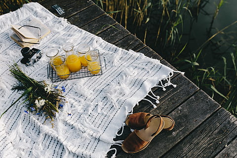 Picnic at the lakeshore, summer, resting, relax, book, time, food HD wallpaper