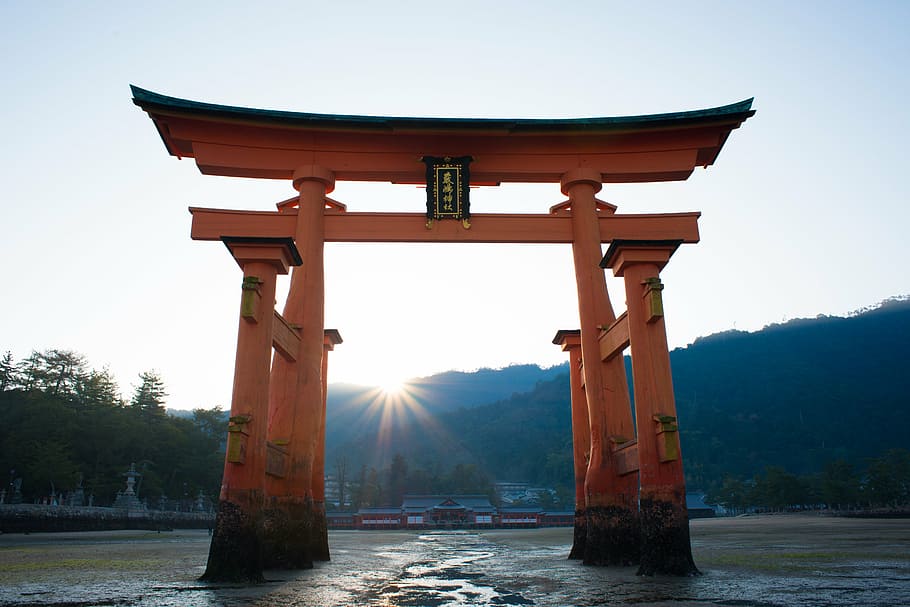 orange and black wooden Torii Gate, Japan at daytime, shrine