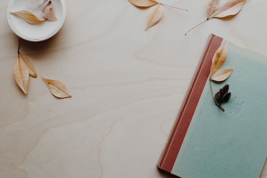 brown and blue hardbound book, blue and brown book with leaf HD wallpaper