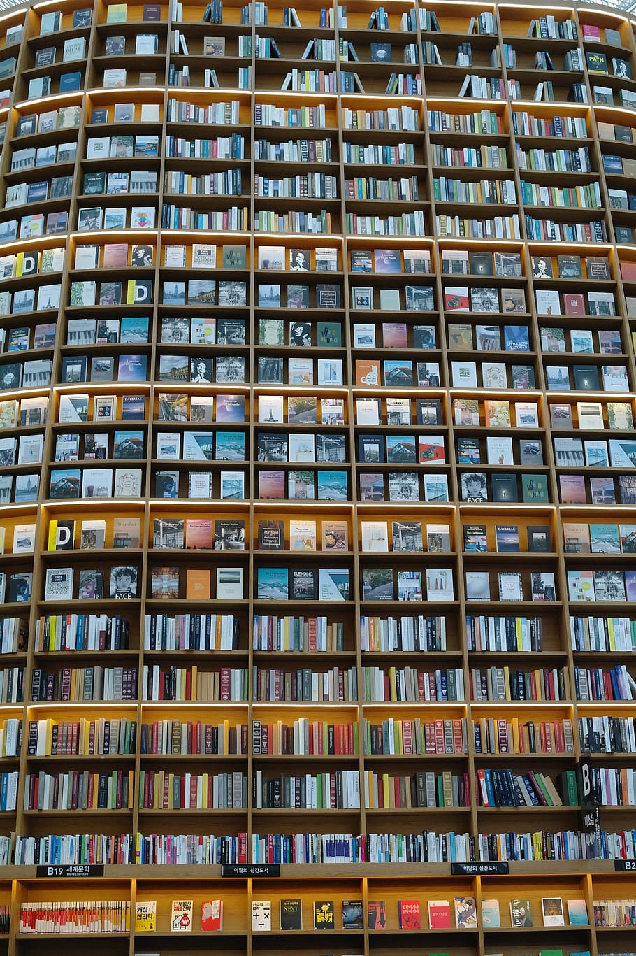 structure, library, bookcase, many, giant, large, republic of korea HD wallpaper