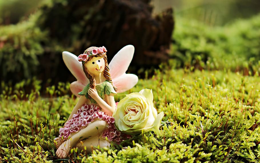 fairy figurine near white petal flower, elf, mythical creatures HD wallpaper