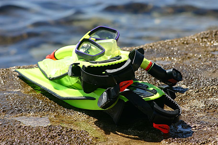 green snorkel gear on concrete by the sea, snorkle, dive, explore HD wallpaper