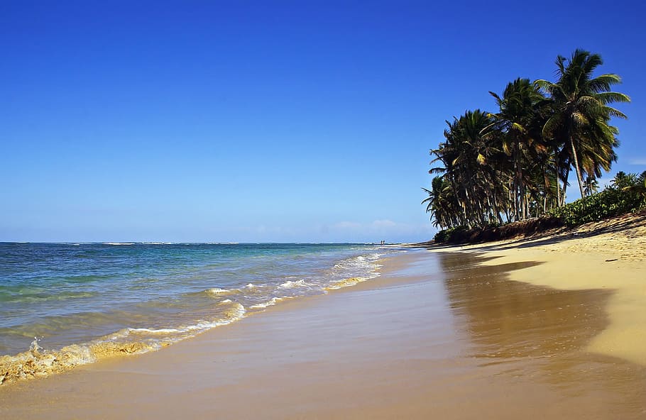 Punta Cana, Bavaro, Beach, dominican republic, holiday, palm trees