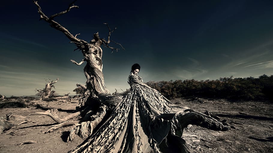 withered, artistic conception, beautiful, nature, outdoors HD wallpaper
