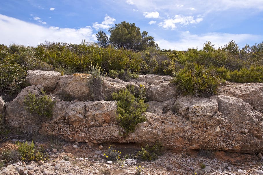 Beach, Spain, Nature, Plants, beach alcocebre spain, rocks HD wallpaper