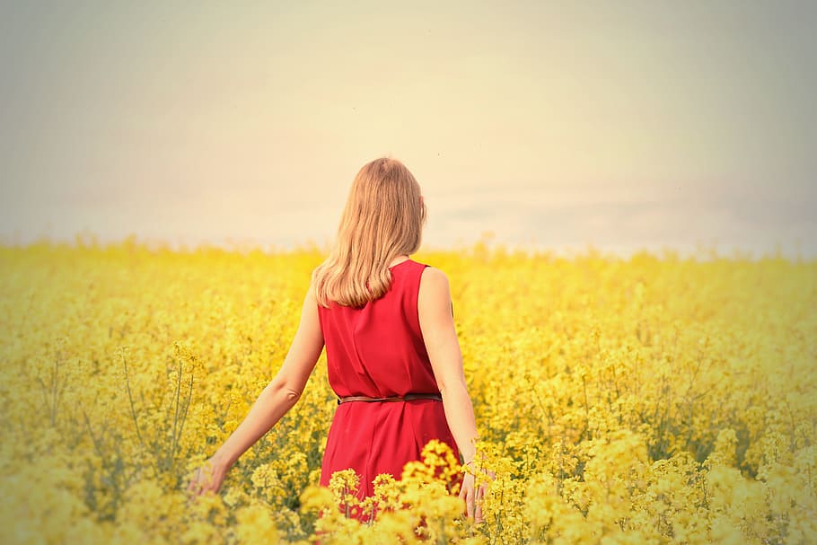 Fashion person. Beautiful woman in the field. Beautiful woman in the field перевод.