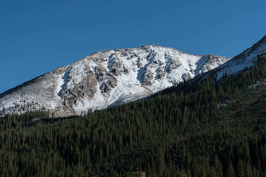forest near snow cap mountain under blue sky at daytime, mountain snow covered and surrounding trees HD wallpaper