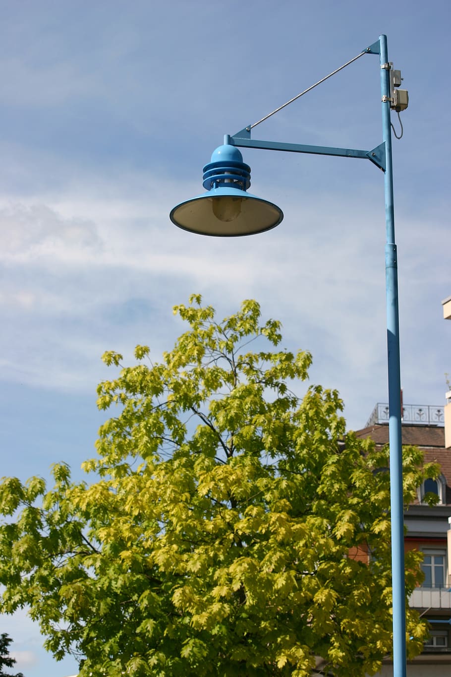 light, lantern, lighting, sky, low angle view, plant, tree HD wallpaper