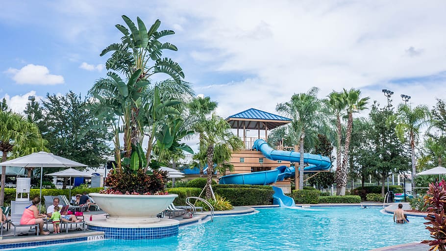 people enjoying resort, pool, slide, tropical, summer, holiday HD wallpaper