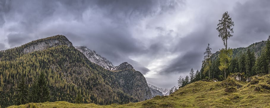 landscape photography of green mountain, pasture, panorama HD wallpaper