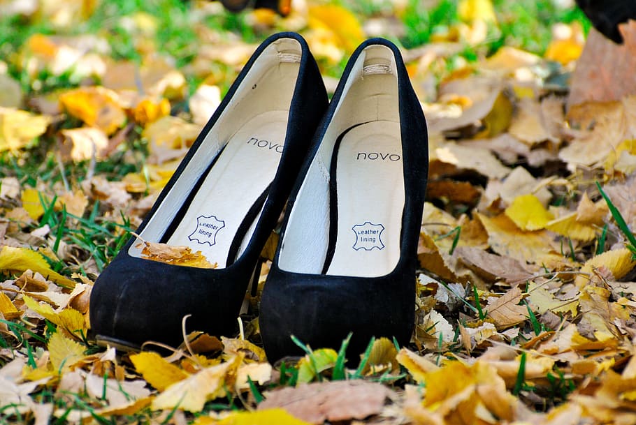 pair of black Novo leather stilettos on green grass field with leaves
