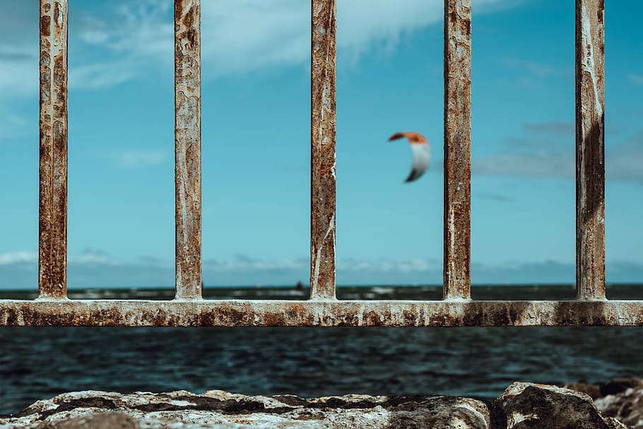 shallow focus photo of gray steel fence, brown wooden fence overlooking the sea HD wallpaper