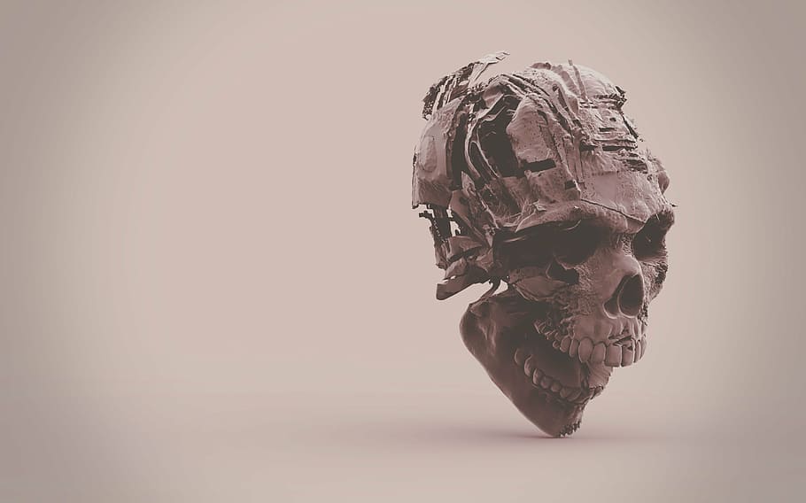 gray decaying skull photography, skeleton, 3d, single object HD wallpaper