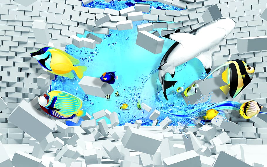 fish, wall, shark, water, blue, communication, connection, technology HD wallpaper