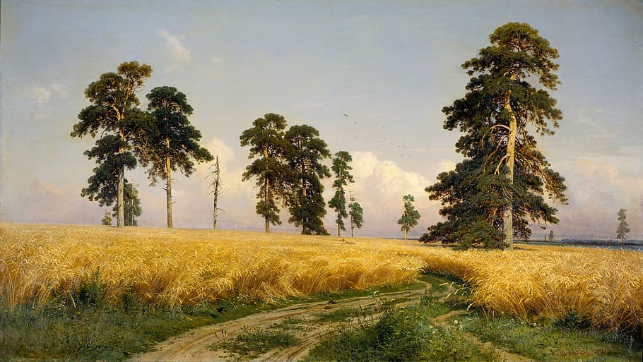 Rye Fields in Russia, photo, ivan shishkin, landscape, painting