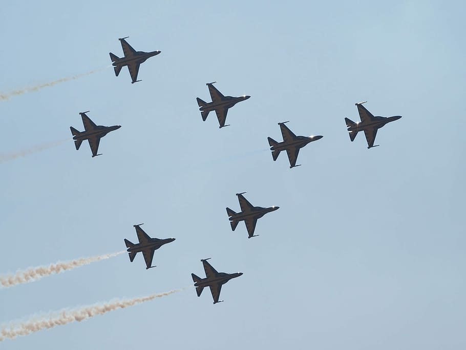 Fighter, Air, Black Eagle, personal air, flying, speed, animals in the wild HD wallpaper