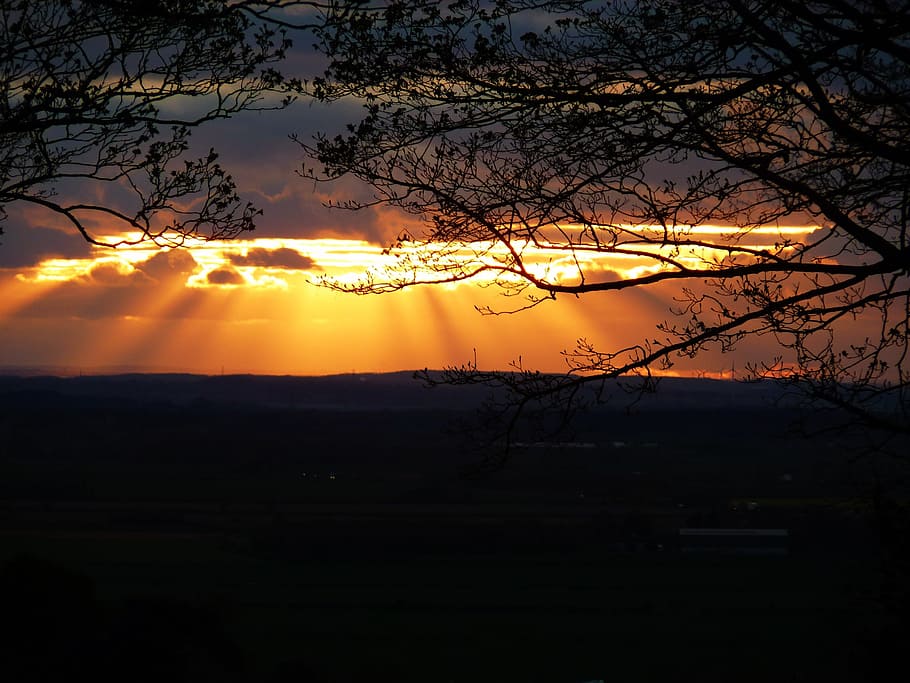 Sunset, Sunlight, Sky, landscape, nature, silhouette, golden HD wallpaper