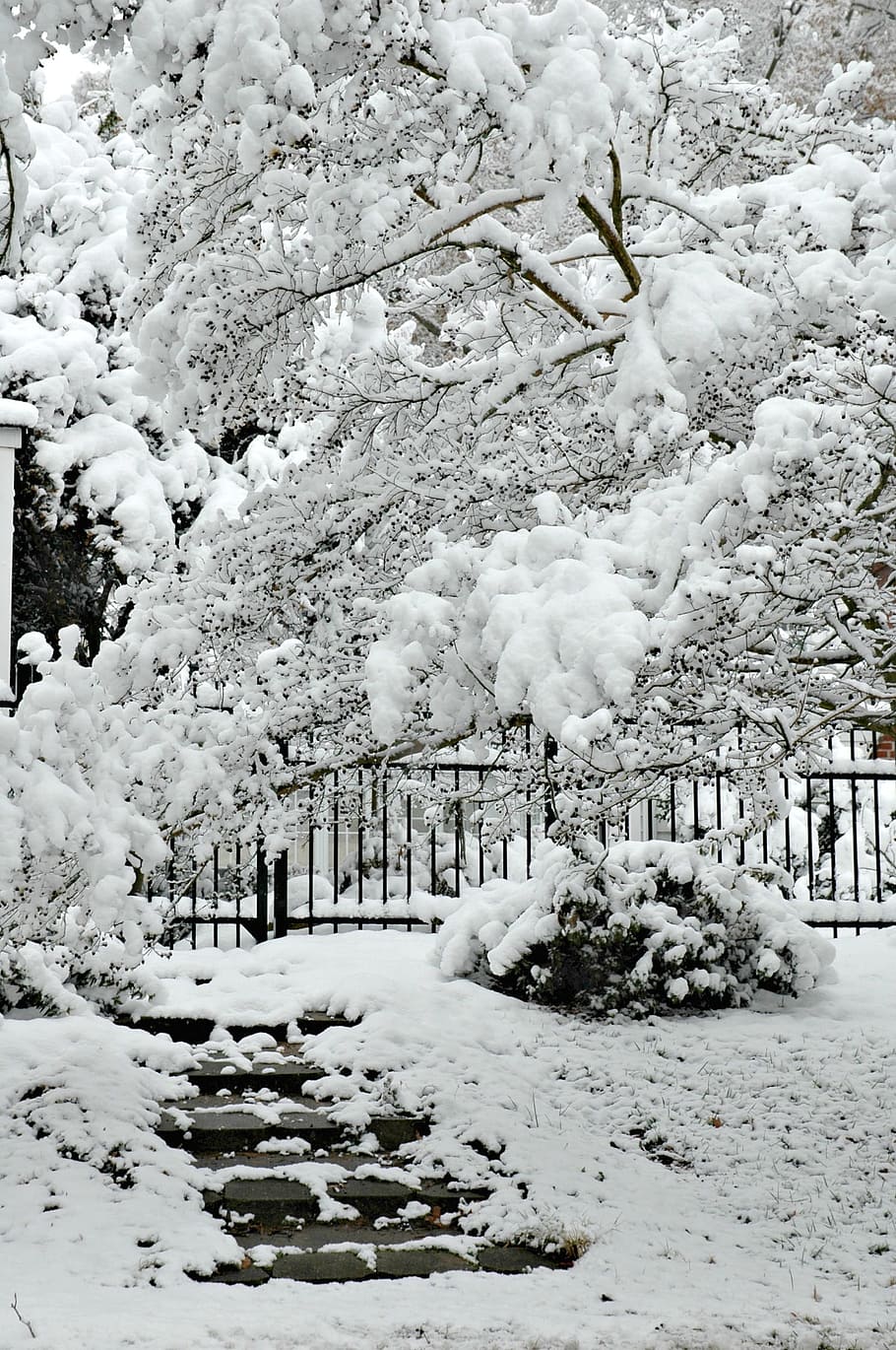 Winter, Snow, Steps, Nature, Outdoor, cold temperature, white color HD wallpaper