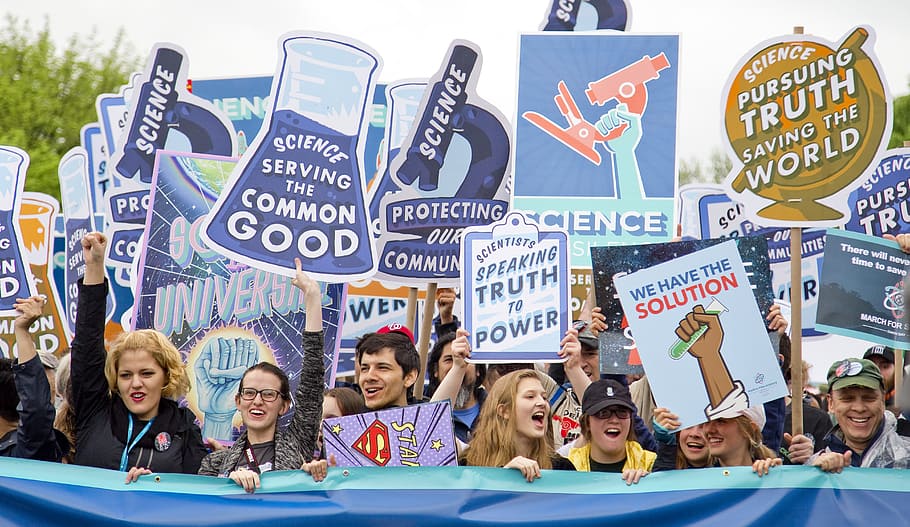 group of people with signages, people carrying signage boards during day time HD wallpaper