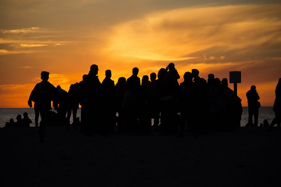 silhouette of group of people facing body of water during golden hour HD wallpaper